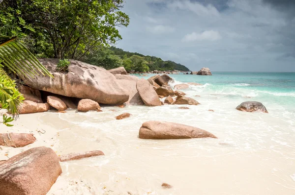 Anse lazio beach, praslin Adası, Seyşel Adaları
