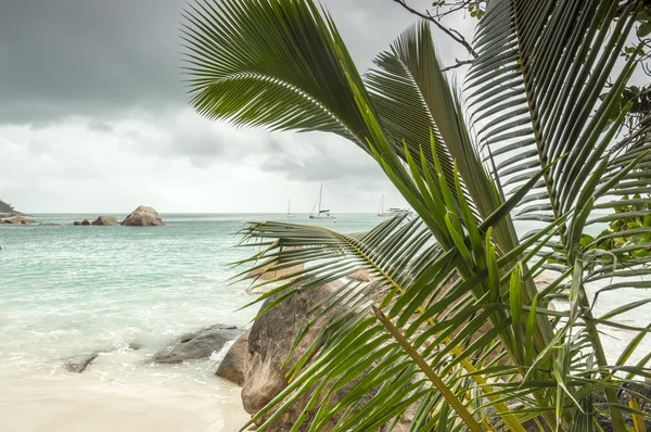 Manzara Anse Lazio Beach