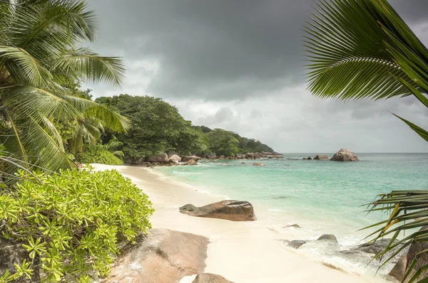 Anse lazio beach, praslin Adası, Seyşel Adaları