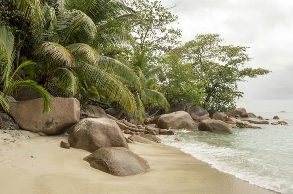 Anse lazio beach, praslin Adası, Seyşel Adaları