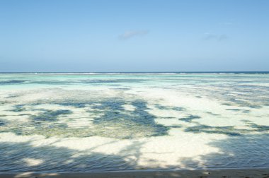 Seyşel Adaları, tropik sahil