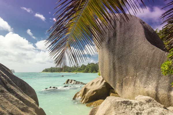 Palms Beach Island la digue, Seyşeller - tatil arka plan