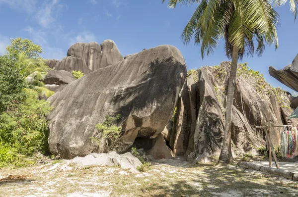Kayalar granit kayalar ve La Digue Adası, Seyşeller'bitki