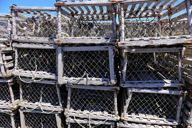 ahşap ıstakoz tuzaklar