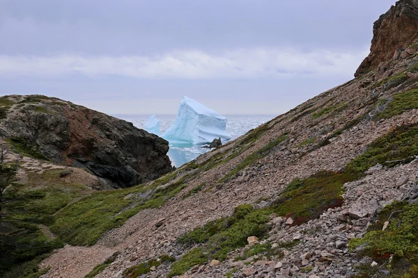 Iceberg au Canada — Photo
