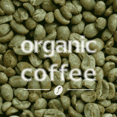 organik yeşil kahve çekirdekleri