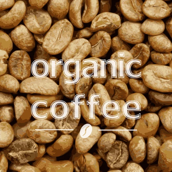 Organic lightbrown coffee beans — Stock Vector