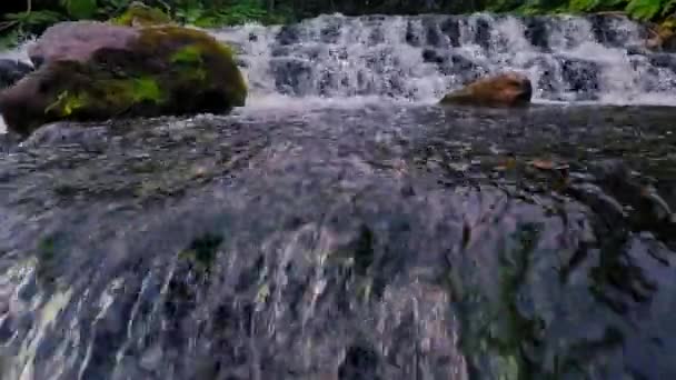 Rusia, región de Novgorod, río Culpa (vuelos aéreos con drones) ) — Vídeo de stock