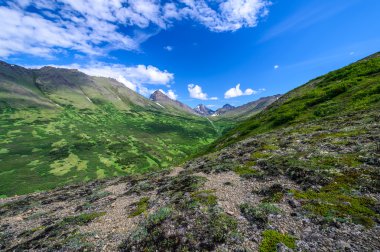 Tavşan Creek Chugach Dağları, Anchorage, Alaska