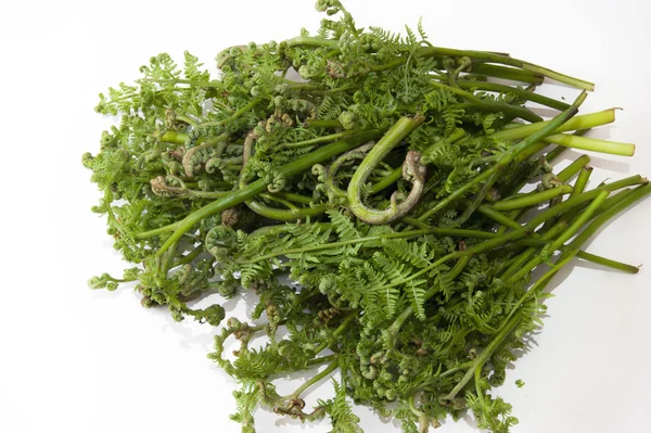 Fern insan tüketimi için