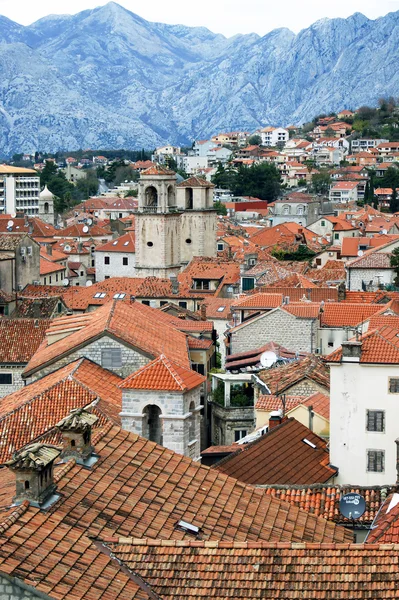 El casco antiguo de Kotor desde arriba — Foto de Stock