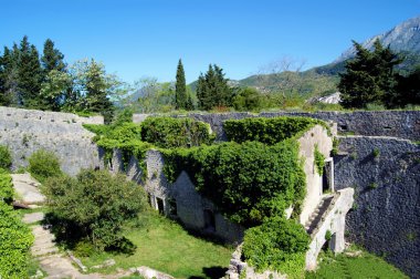 Aşırı büyümüş kışla kale Spanjola görünümünü