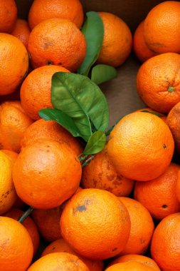 Bir kutu içinde parlak portakal