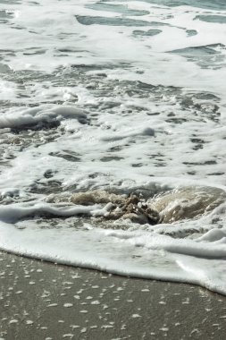 Deniz köpüğü kumlu bir plaj üzerinde