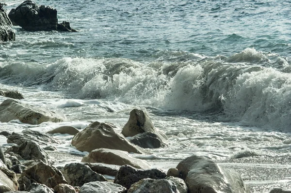 The wave rolls on coast — Stock Photo, Image