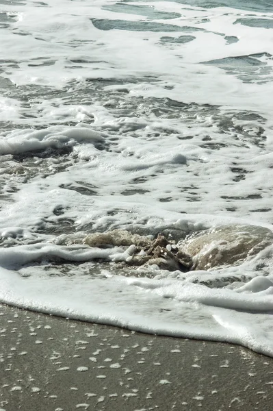 Zee schuim op een zandstrand — Stockfoto