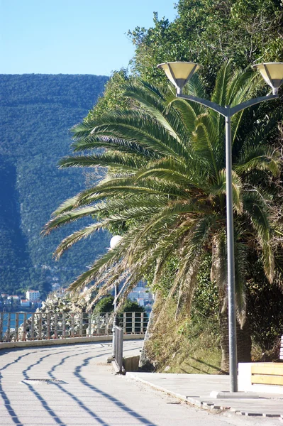 Walkup in Herceg Novi — Stock Photo, Image