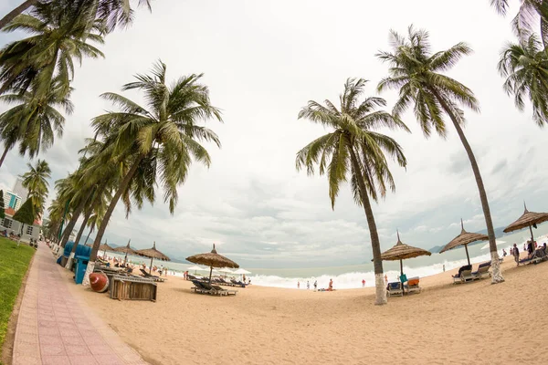 Nha Trang Vietnam November 2017 Palmer Molnigt Dag Stranden — Stockfoto