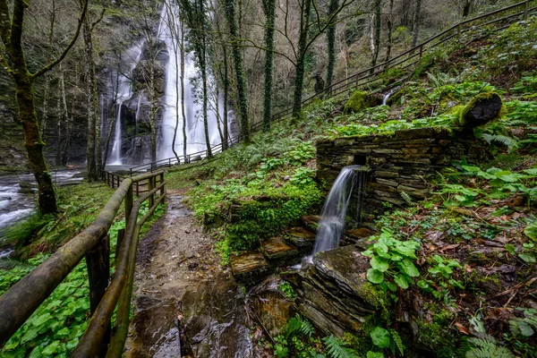 şelale orman İspanya