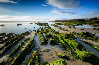 Furnas bakire beach, Galiçya, İspanya