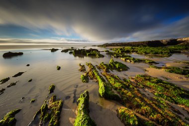 Furnas bakire beach, Galiçya, İspanya