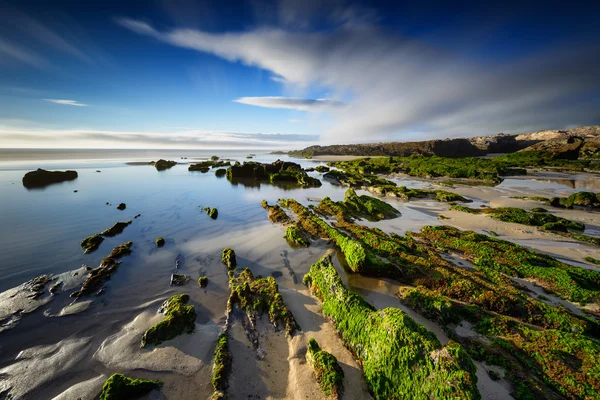 Furnas bakire beach, Galiçya, İspanya