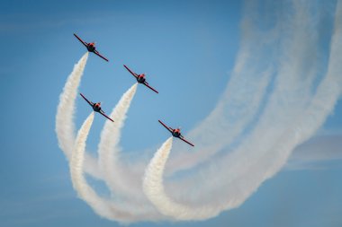 Uluslararası hava gösterisi İspanya