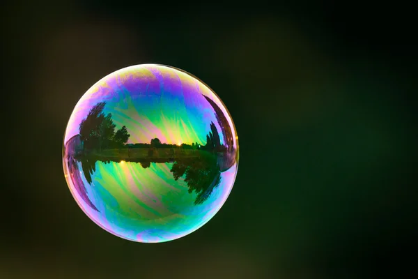 Bolha de sabão com reflexão natureza — Fotografia de Stock