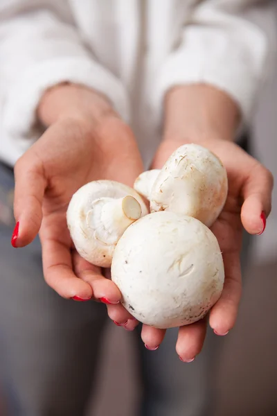 Young woman hands with mushrooms — Stock Photo, Image