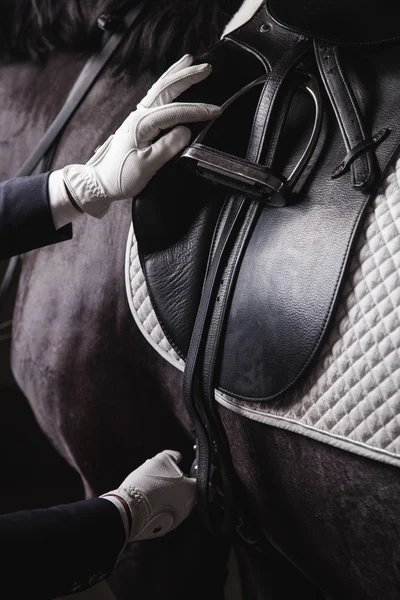Jockey prepearing cavalo para o passeio Fotos De Bancos De Imagens Sem Royalties