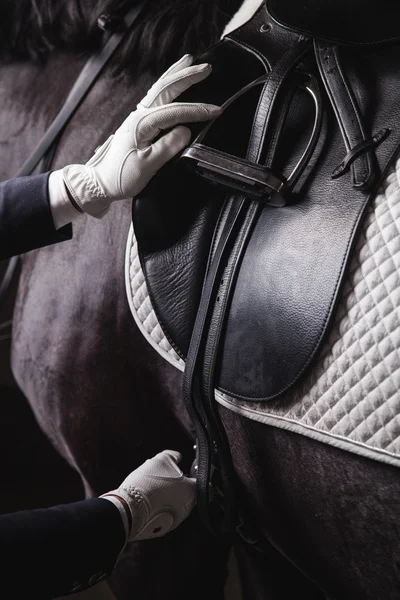 Jockey prepearing paard voor de rit. Rechtenvrije Stockfoto's