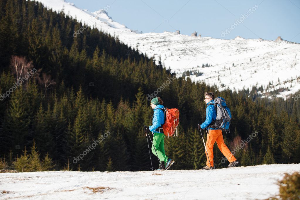 Two hikers against pine forest in winter mountains