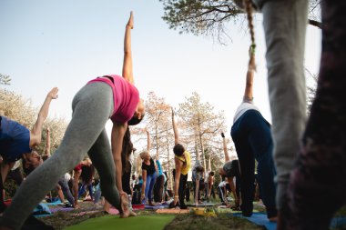 Avatar Yoga Festivali sırasında Jani Jaatinen aka Gokulacandra açık hava uygulaması
