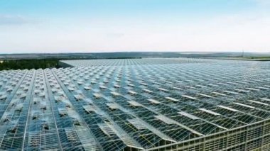 Venlo veya Hollanda sera bitkisinin gökyüzü görüntüsü