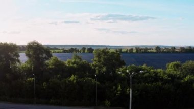 Bir güneş panelinin havadan görünüşü enerji santrali 