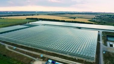 Venlo veya Hollanda sera bitkisinin çekimleri başlatılıyor