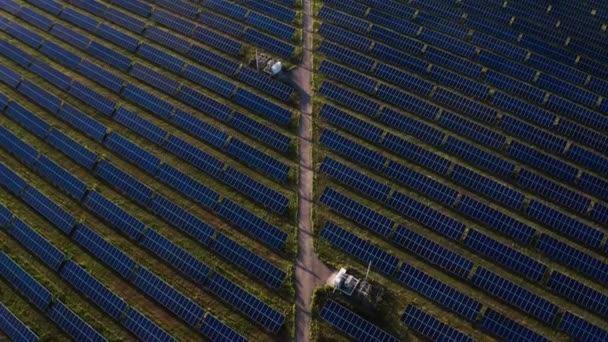 太阳能光伏电池板发电厂的空中俯视图 — 图库视频影像