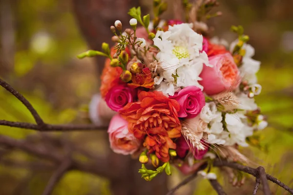 Hermoso ramo de boda — Foto de Stock