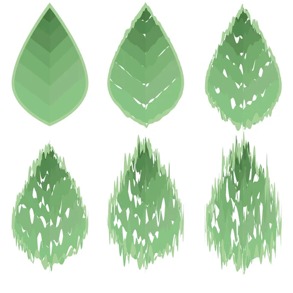 Step-by-step tearing green leaf