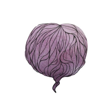 Suluboya sebze. Mor pancar