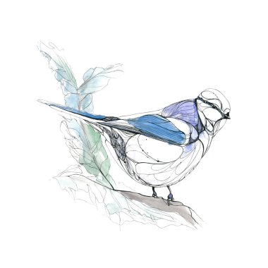 Watercolor hand drawn bird. Vector illustration