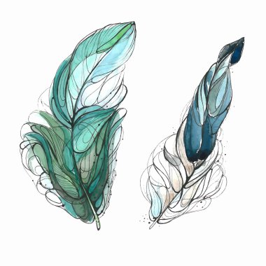 Suluboya tüy. Vektör çizim