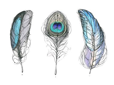 Watercolor feather. Vector illustration clipart