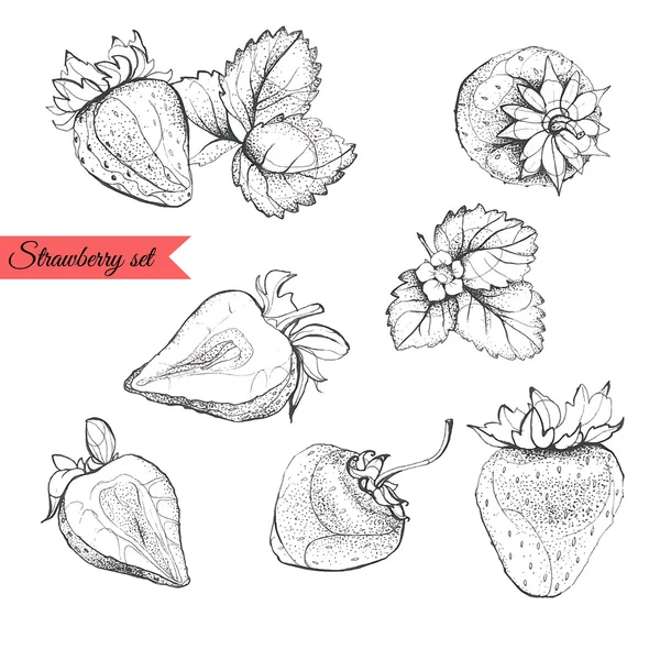 Strawberry set. Hand dras vektor illustration — Stock vektor