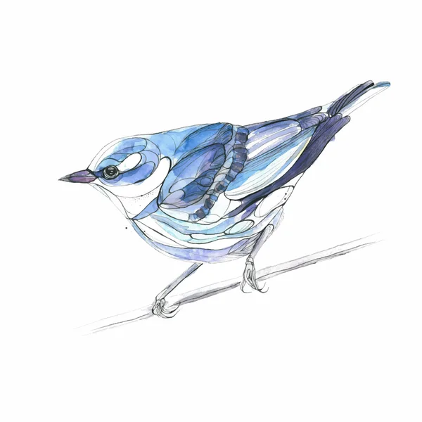 Aquarelle oiseau dessiné à la main. Illustration vectorielle — Image vectorielle