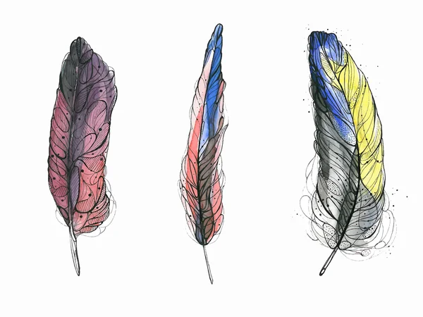 Plume d'aquarelle. Illustration vectorielle — Image vectorielle