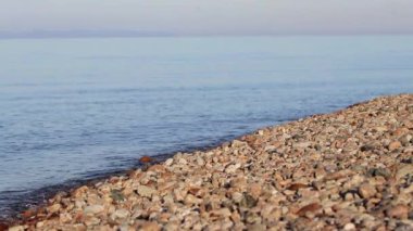 Gölün arka planı, güneşli bir günde kıyı manzarası. Idyllic manzara: dalga, mavi gökyüzü, deniz ufku
