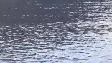 Işık dalgalanmaları, göl yüzeyinin hareketi