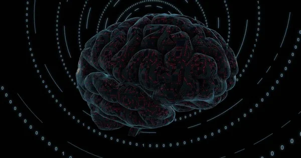 Cyfrowy Mózg Pokryty Płytkami Drukowanymi Procesorem Cyfrowa Sieć Neuronowa Pulsacja — Zdjęcie stockowe
