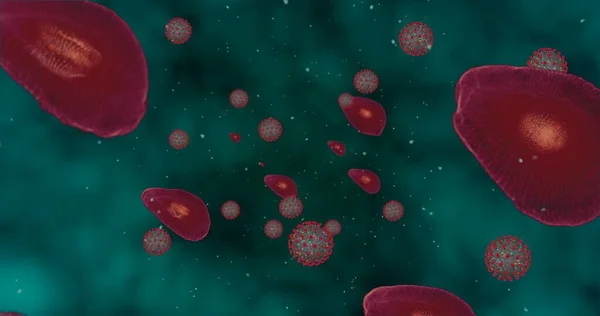 Hight Concentration Coronavirus Disease Covid Animation Group Viruses Red Blood — Stock Photo, Image